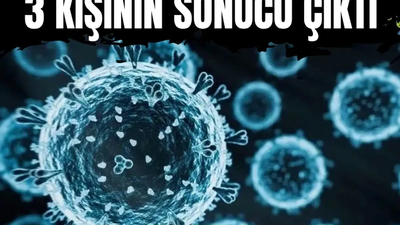 Sağlık Bakanlığı duyurdu: Hantavirüs şüpheli 3 kişinin testi negatif çıktı
