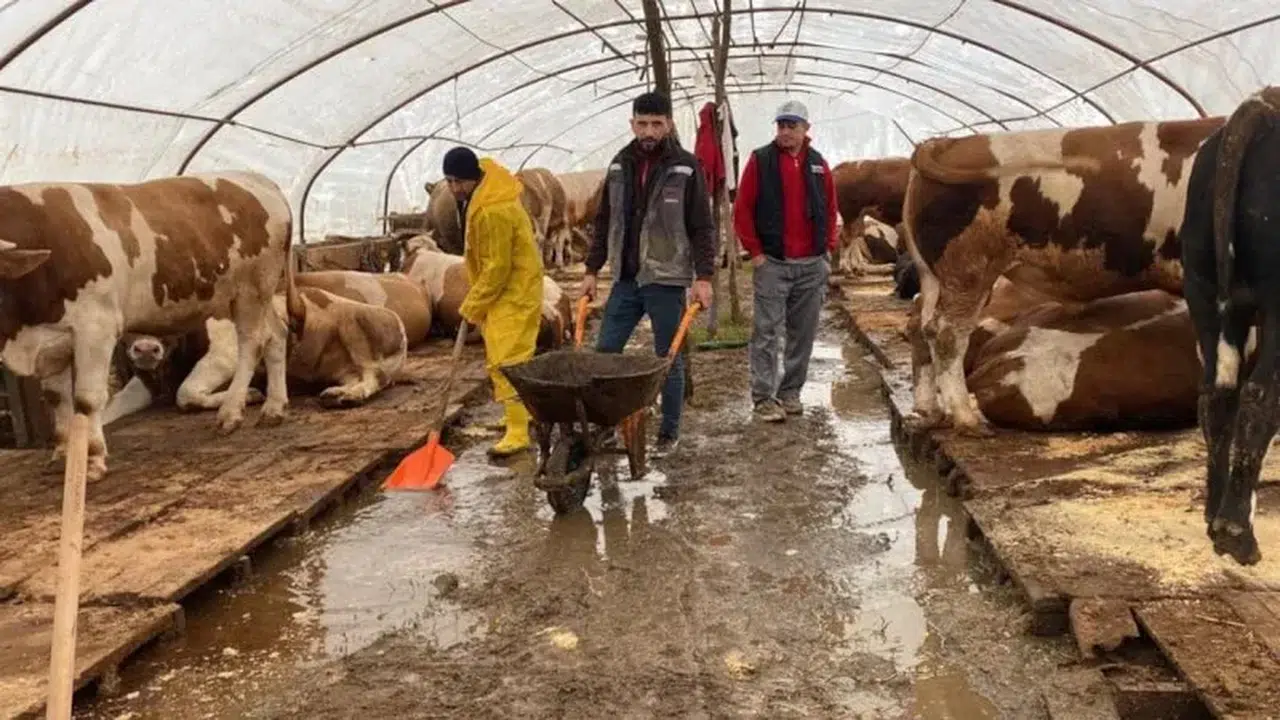 Yuvacık Barajı kapakları açıldı Kiraz Çayı üzerindeki kurban pazarı tahliye edildi