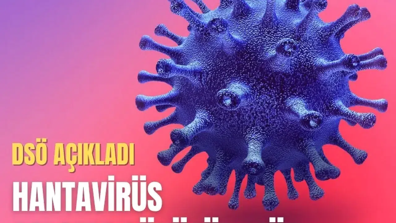 Hantavirüs alarmı: DSÖ'den 'Pandemi mi başlıyor?' sorusuna yanıt
