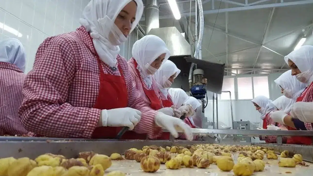 Yeni gıda yönetmeliği: O ürünler artık yasak!