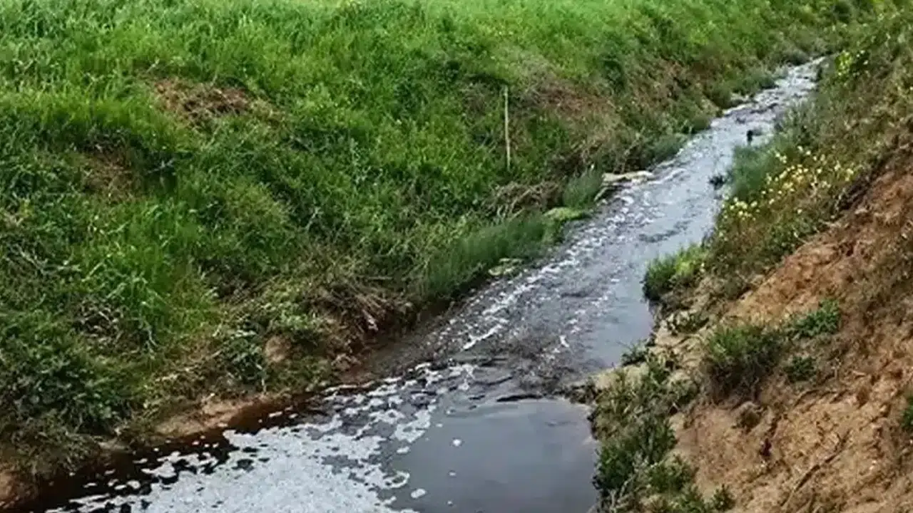 Sinop'ta katı atık tesisine çevre kirliliği nedeniyle ikinci kez milyonluk para cezası uygulandı!