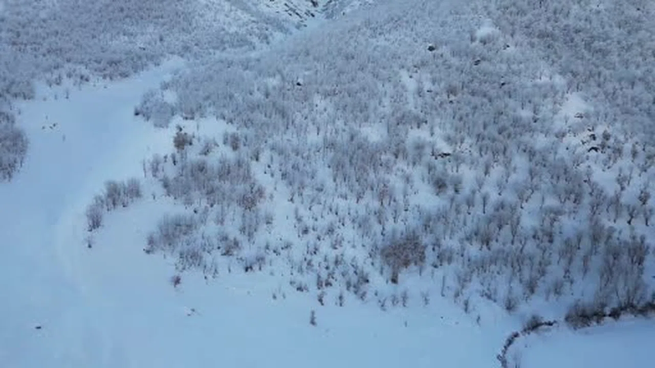 Şırnak'ta dondurucu soğuk... Eksi 14 derecede kart…