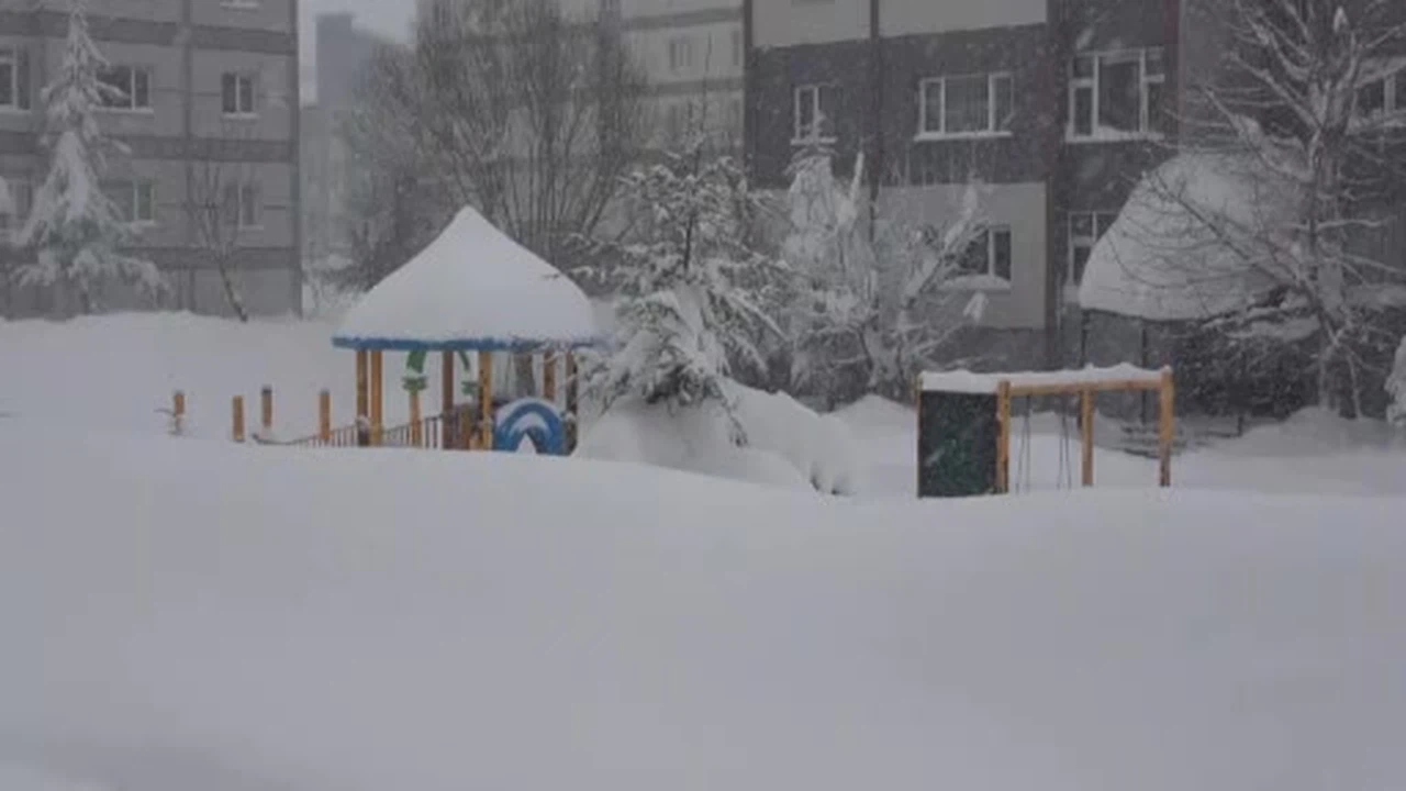 Bitlis’te hayat dondu... Kar her şeyi susturdu, 335 köy ulaşıma kapandı!
