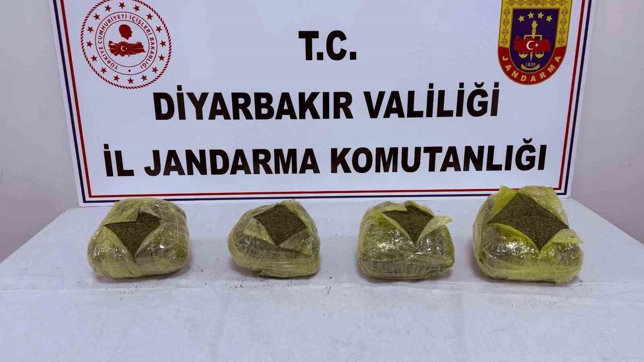 Yeşil zehir avcılarına büyük darbe! 28 kilo buhar oldu...