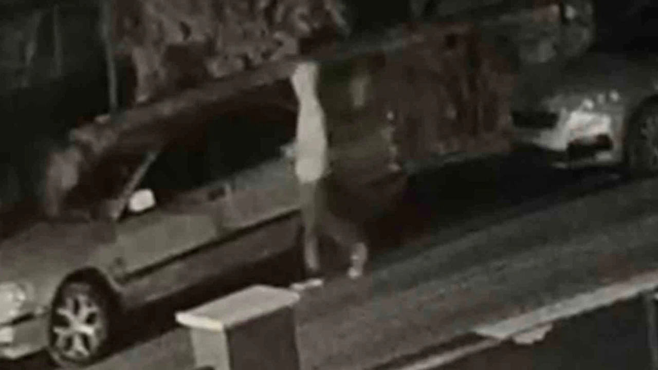 Yaşı küçük, cezası büyük... Camları kırdı, çaldı, yakalandı!