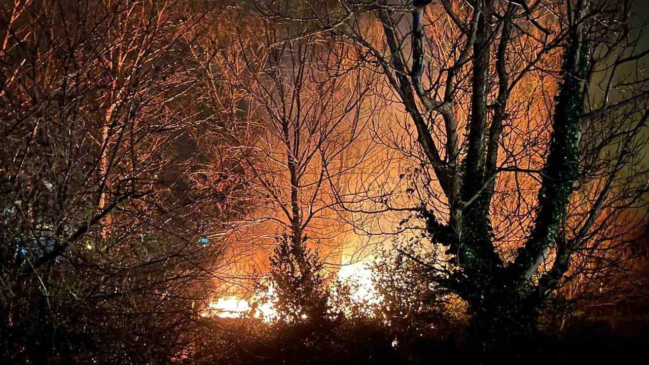 Yangın var, neden yok... Zonguldak’ta ağaçlar alev aldı!