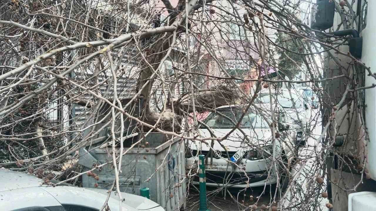 Balıkesir'de kamyon çınara çarptı... Ağaç devrildi, ortalık savaş alanına döndü!