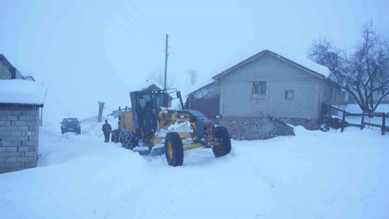 Muş’ta beyaz esaret: İl Özel İdaresi sahada destan yazdı!
