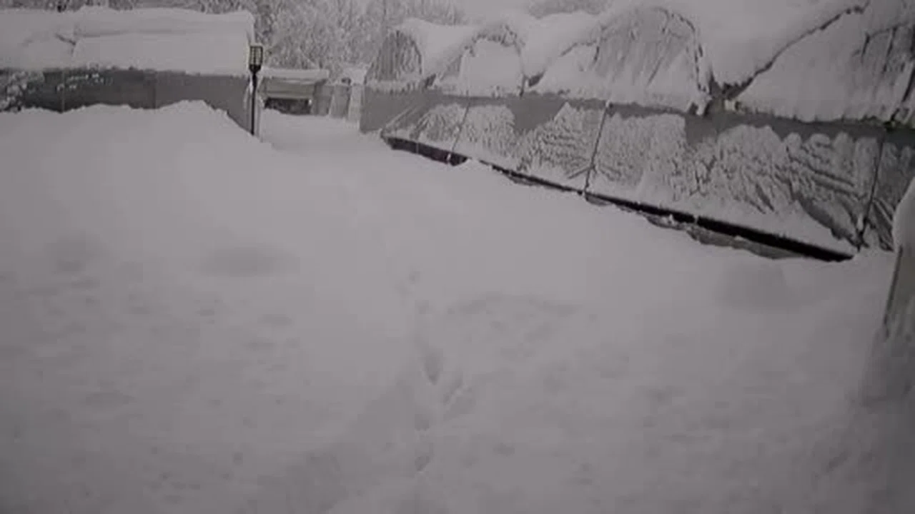 Kar yığını altında can pazarı! Seraların çökme anı kamerada