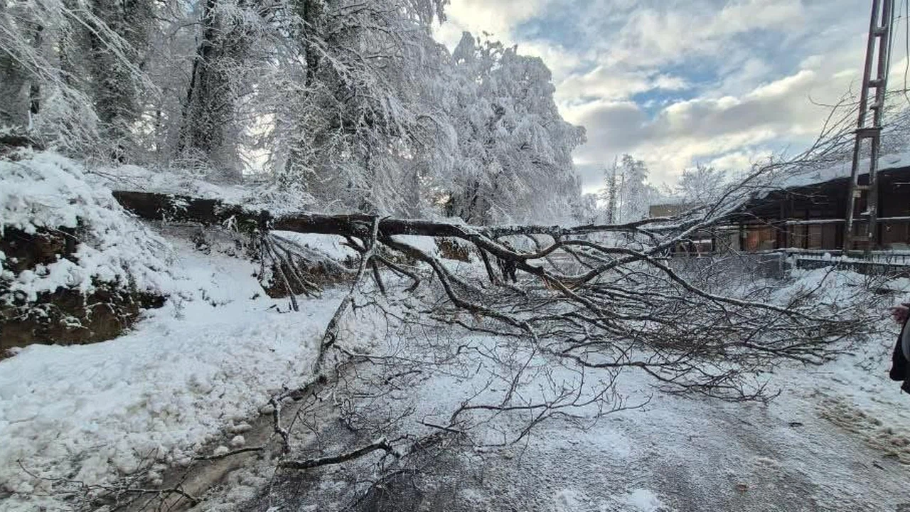 Devrilmeden 10 saniye önce durdu... Sinop’ta sürücünün dikkati faciayı önledi!