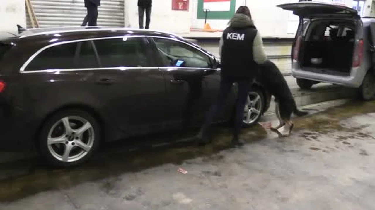 Egzozdan stepneye… Kapıkule'de araçlardan kilo kilo esrar çıktı!