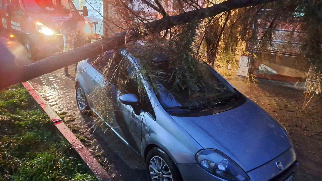 Kırklareli’de geceyi sarsan olay... Şiddetli rüzgar vurdu, ağaç otomobilin üzerine çöktü!