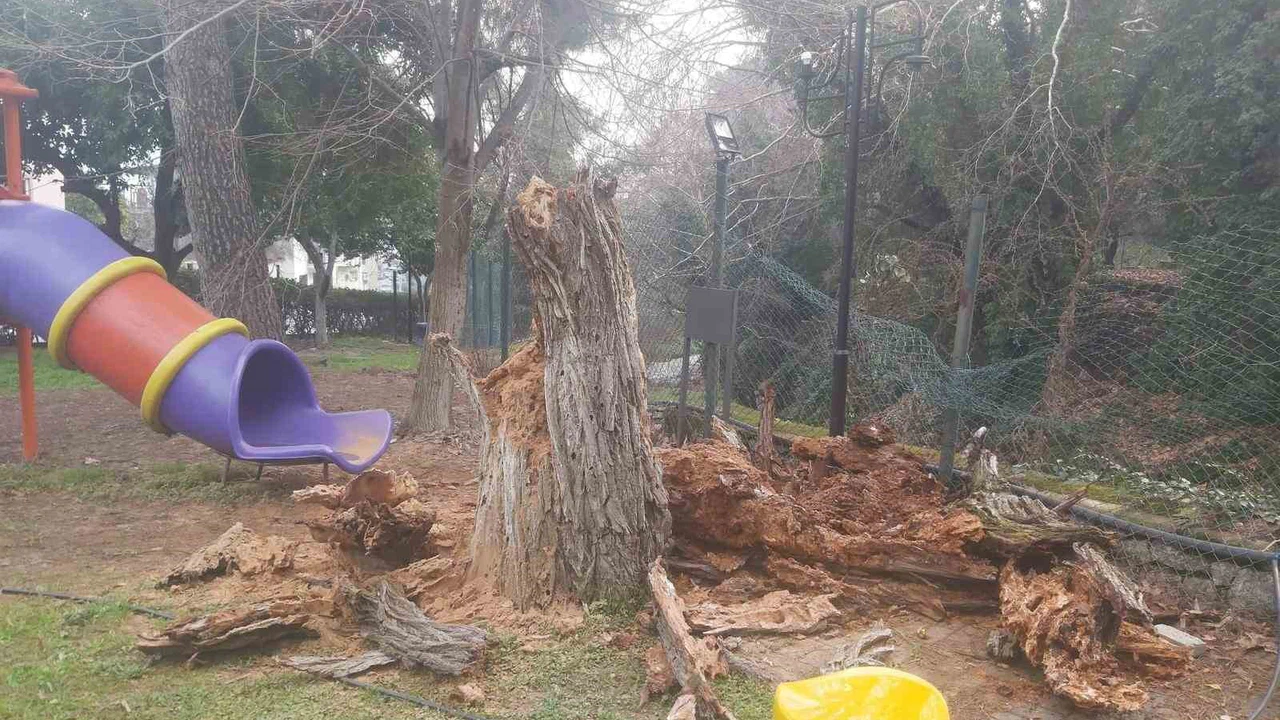 Aydın’da ölümün gölgesi... Torunuyla parkta oturuyordu, saniyelerle hayatta kaldı!
