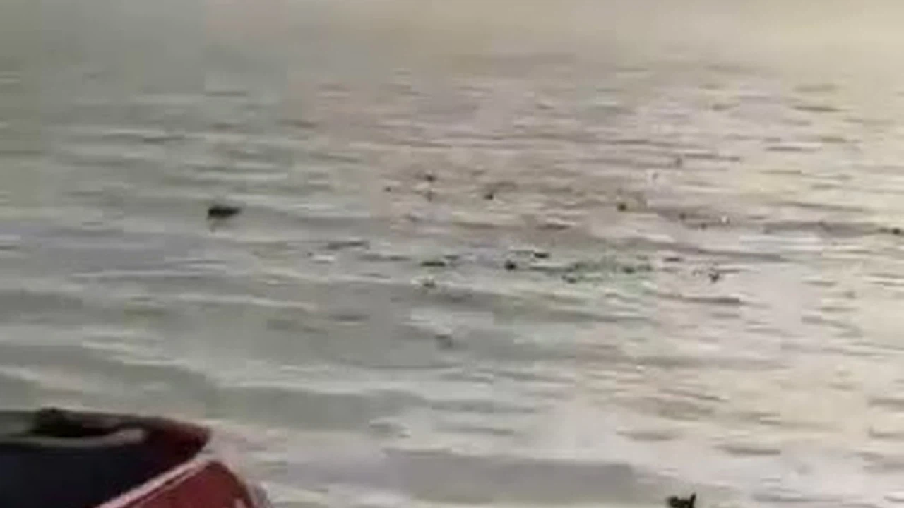 Denizi şehir çöplüğüne çevirdiler