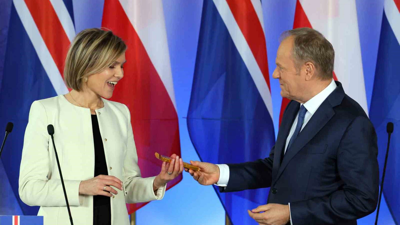 İzlanda, gelecek aylarda AB üyeliği müzakereleri için referanduma gidecek