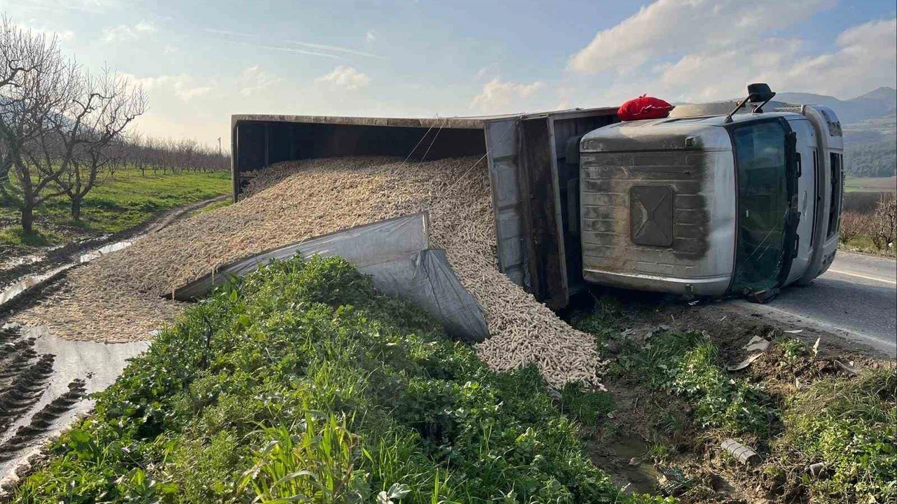 Bilecik’te yürek hoplatan kaza... Direksiyon kaydı, mısır yüklü TIR yan yattı!