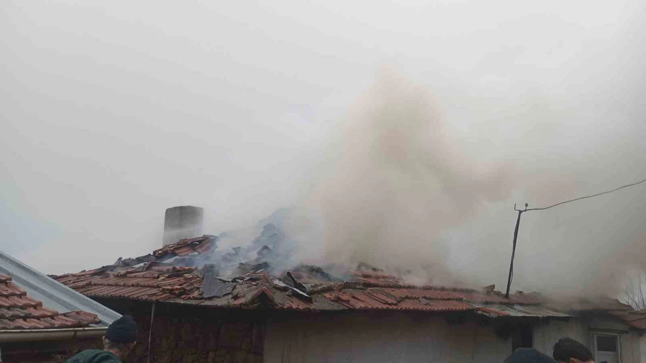 Sındırgı’da yürek yakan yangın... Alevler büyüdü, umutlar küle döndü!