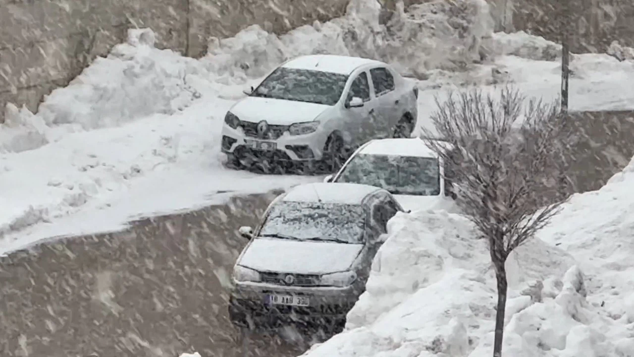 Yüksekova’da lapa lapa kar yağışı başladı