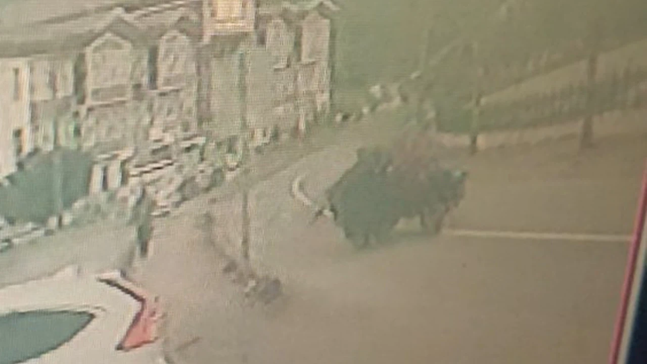 Kastamonu’da lastiği fırlayan tarım aracı takla attı: 1 yaralı