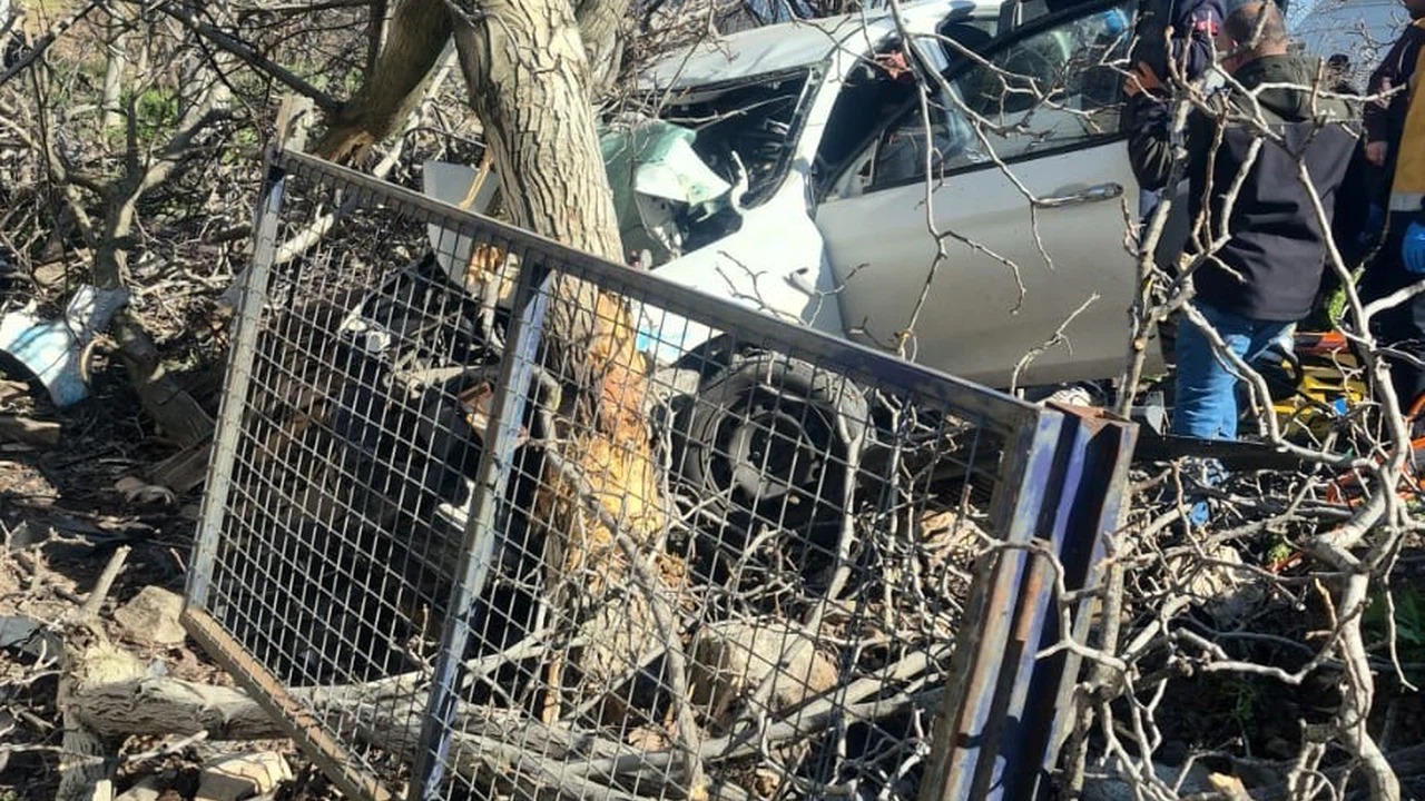 Kontrolden çıkan otomobil ağaçlara ok gibi saplandı: 2 ölü, 1 ağır yaralı