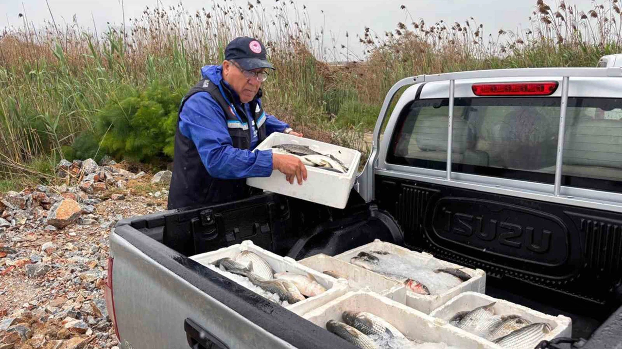 Milas’ta kaçak avcılığa geçit yok: 80 kilo kefal balığına el konuldu