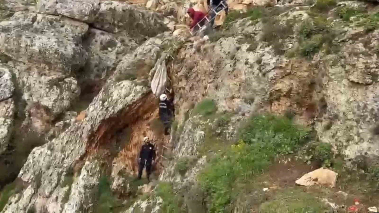 Uçurumdan düşen köpek 4 saatlik çalışmayla kurtarıldı