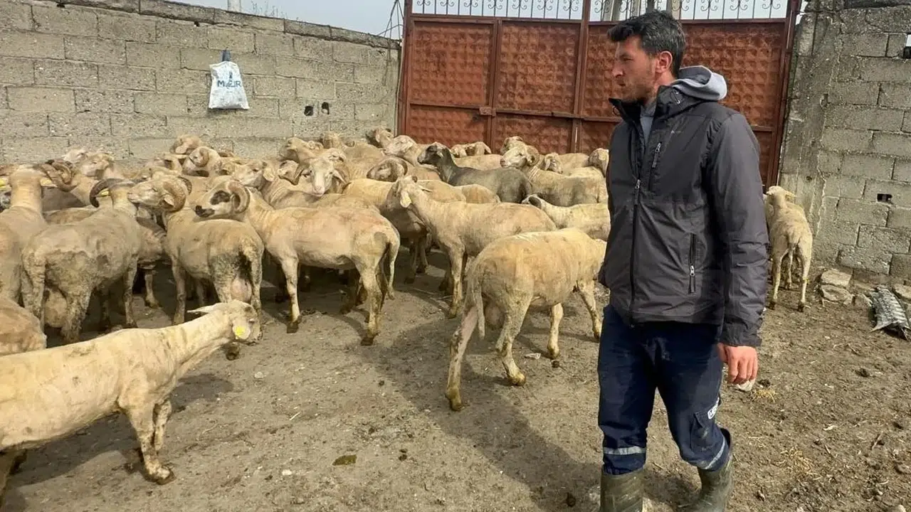 Kurban bereketi hanesine çifte mutluluk getirdi: Geçen yıl düğün yapmıştı, bu yıl baba oluyor