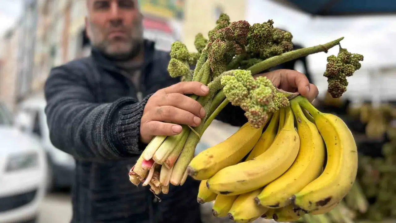 Dağların zirvesinden gelen şifa: İthal muzu solladı, fiyatıyla dudak uçuklattı