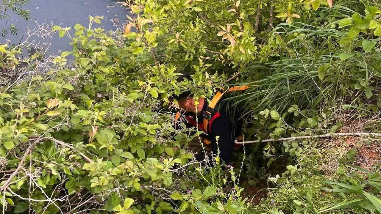 Ölümden döndü: 10 metrelik gölete düşen hayvanı itfaiye ekipleri kurtardı