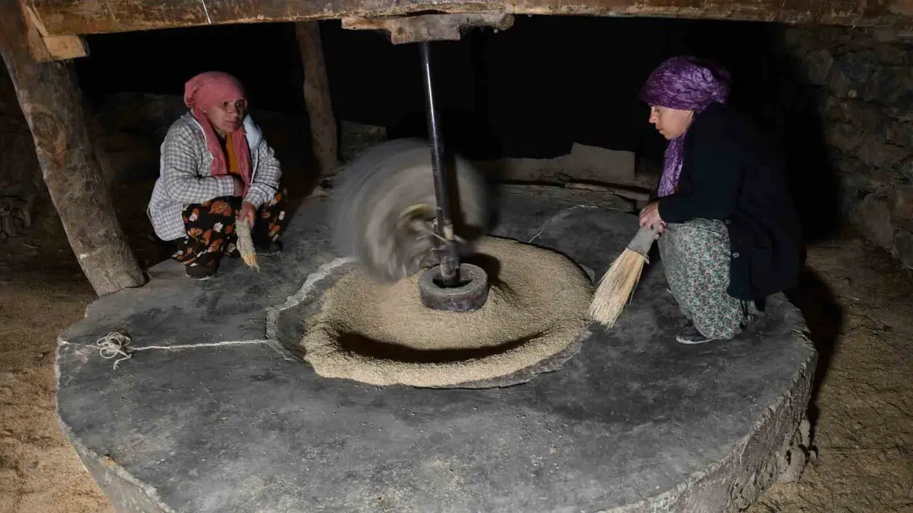 Modern teknolojiye inat asırlık gelenek: Hizan’ın dağ köylerinde sofraların vazgeçilmezi olan o pirinç el emeğiyle üretiliyor