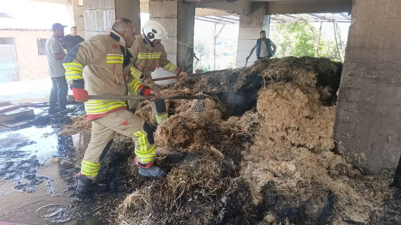 Defne’de korkutan yangın: İtfaiye ekipleri felaketi önledi