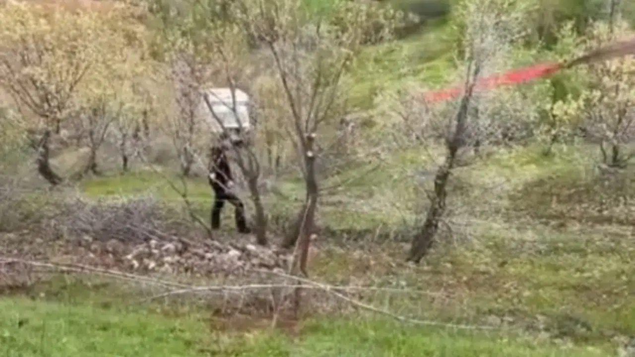 Siirt’te korkutan kaza: Hayvan pazarlığına daldı, aracının uçuruma yuvarlanışını izledi