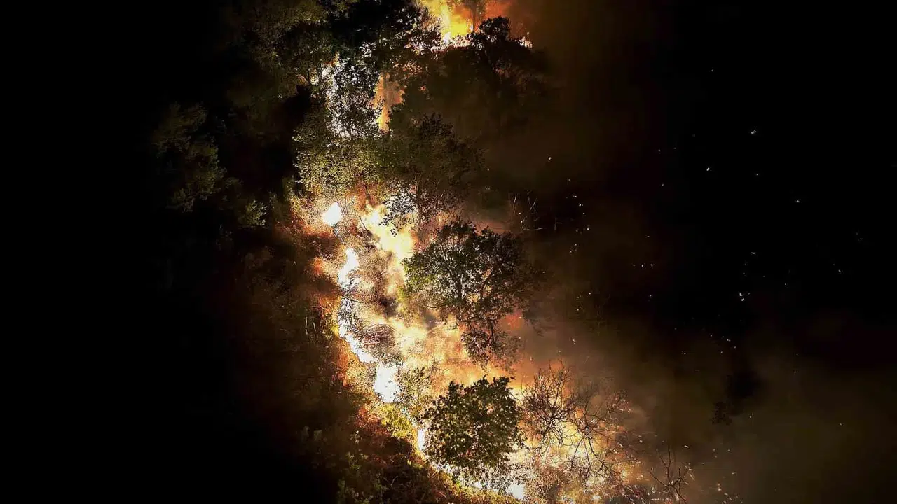 Beykoz'da orman yangını kabusu: 9 saatlik mücadelenin ardından bölgeden iyi haber geldi