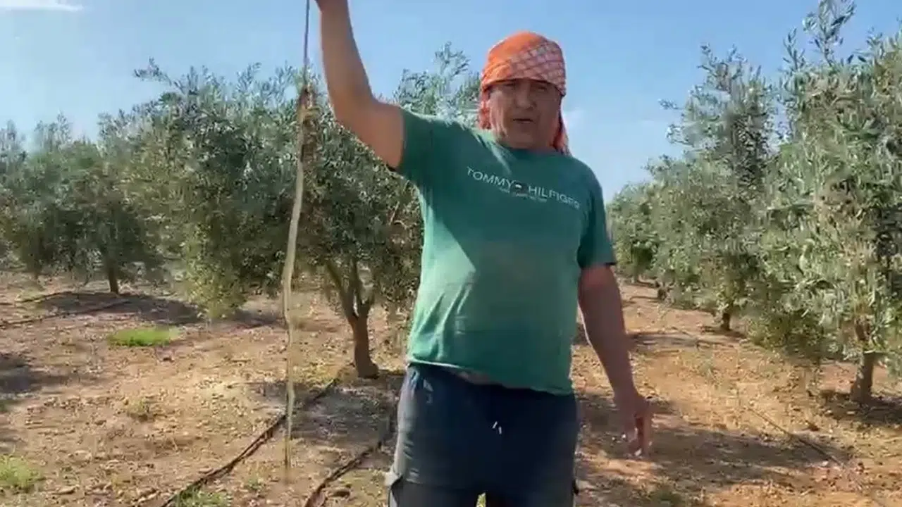 Karpuz serasında ölümle burun buruna: Çiftçinin soğukkanlı hamlesi dehşeti önledi