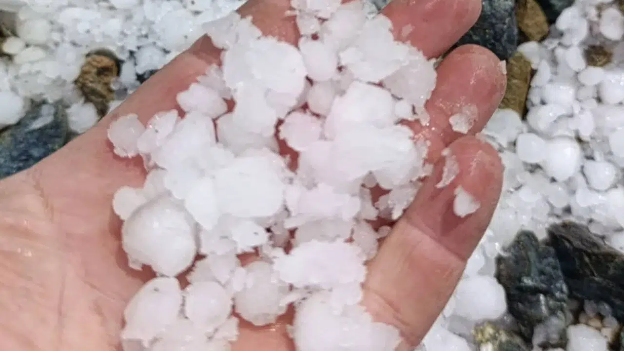 Kayısı diyarı Malatya’da dolu kabusu: Bahçeler beyaza büründü, üreticinin umutları tükendi