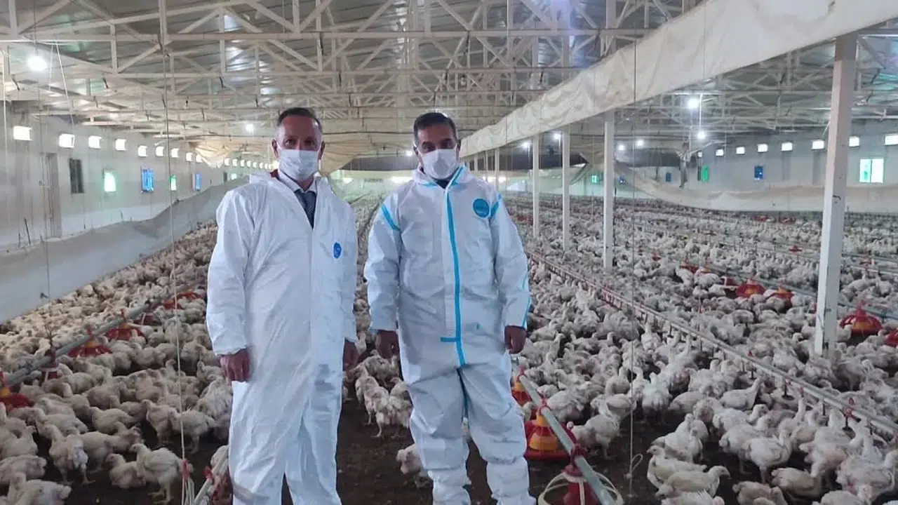 Aydın ekonomisinin gizli gücü: 71 işletme sofraların bereketini sağlıyor