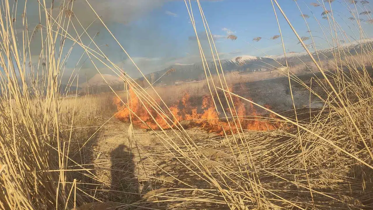 Van’ın kuş cenneti alevlere teslim oldu: İtfaiye ekipleri zamanla yarıştı