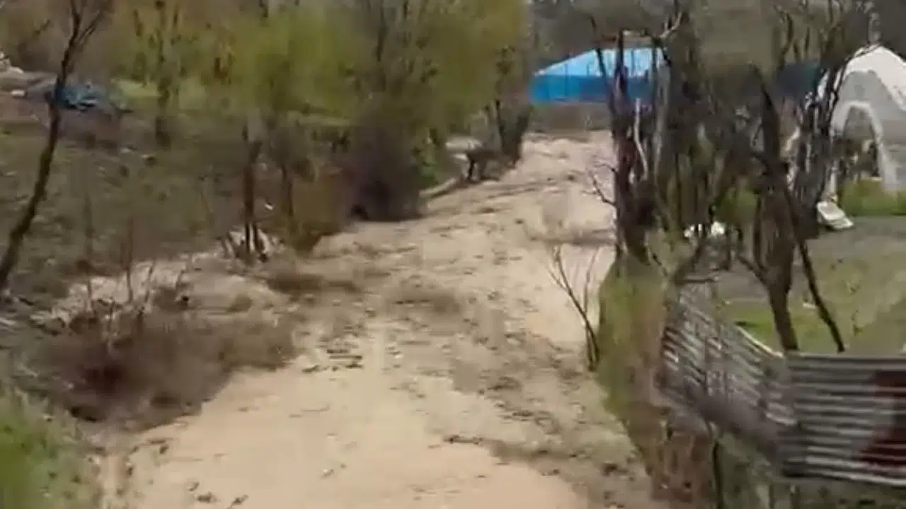 Şırnak'ta korku dolu anlar: Sel sularına karşı havaya ateş açarak hayat kurtardı