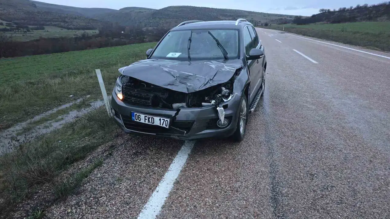 Ankara yolunda acı kaza: Yola çıkan geyik kurtarılamadı