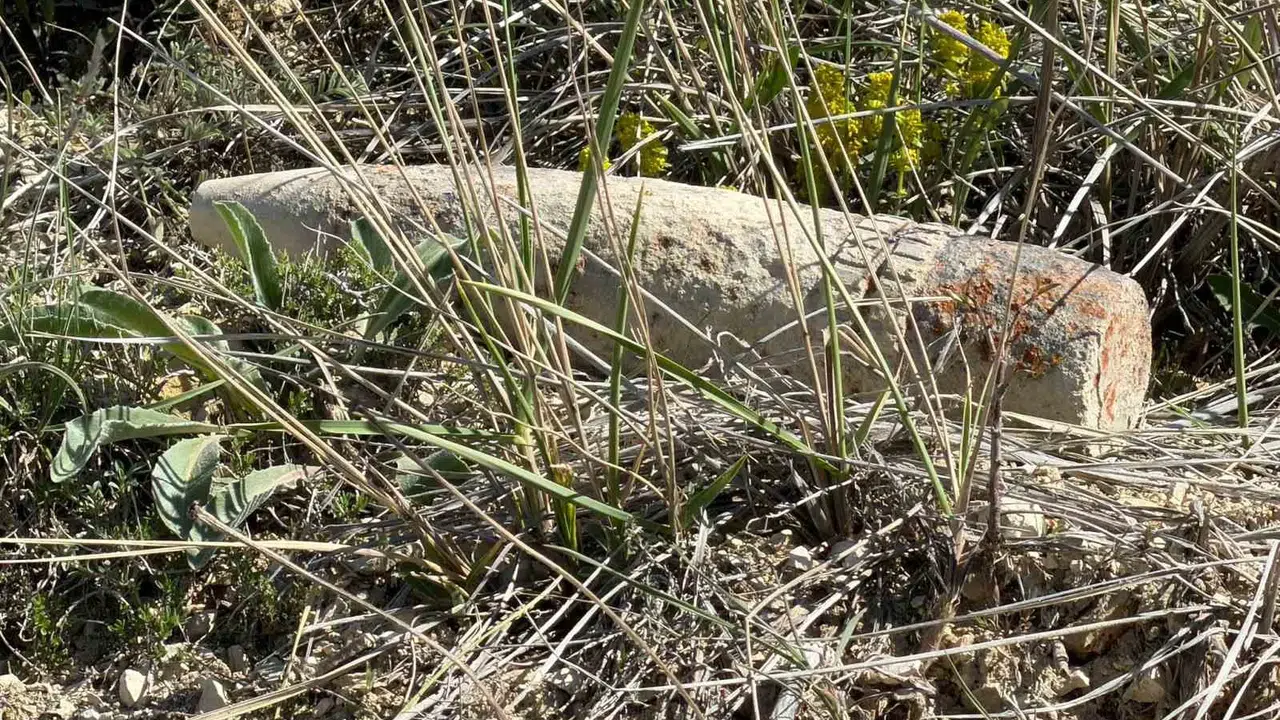 Mantar aramaya çıktı, ölümle burun buruna geldi: Elinde taşıdığı şey top mermisi çıktı
