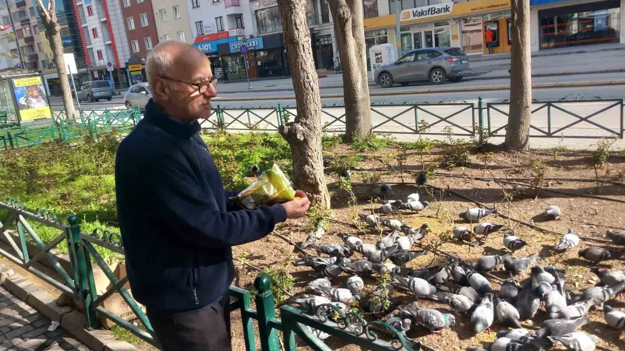 Eskişehir’in gönüllü kuş gözlemcisi: Çay ocağının müdavimleri kanatlı dostları oldu