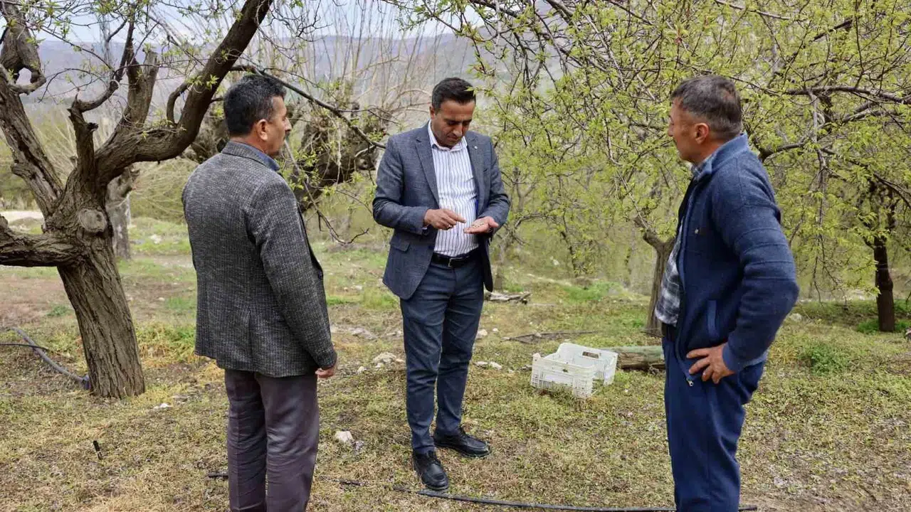 Akçadağ’da dolu felaketi: Başkan Ulutaş üreticinin yarasını sarmak için sahaya indi