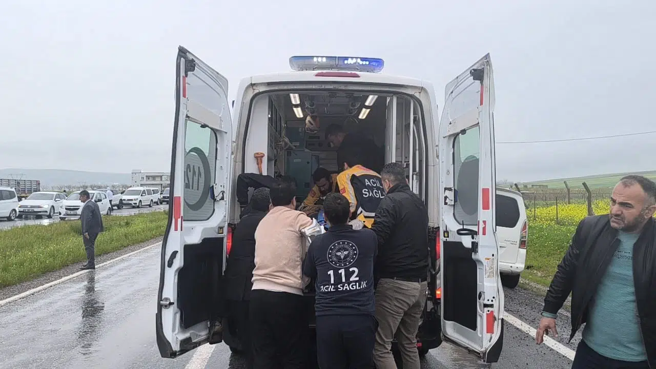 Siirt’te feci kaza: Hayvan yüklü kamyonetle otomobil çarpıştı, acı bilanço ağır