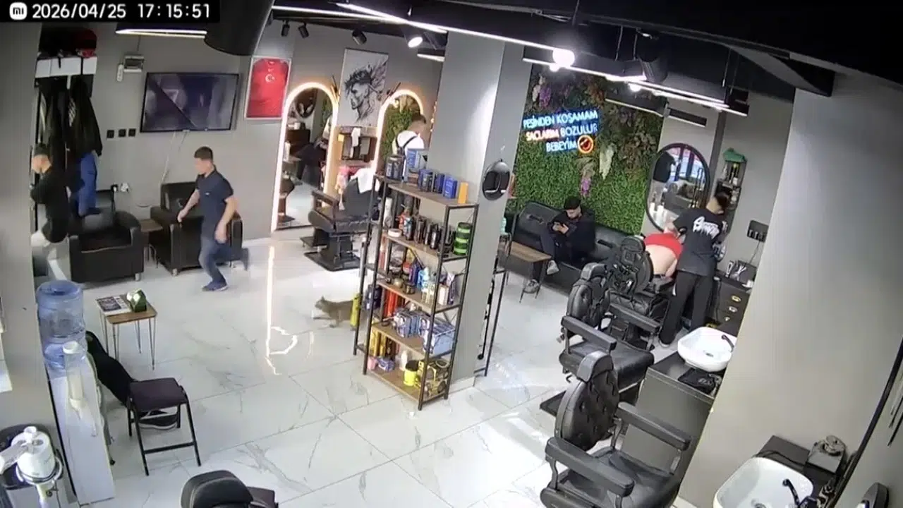 Kuaför koltuğunda beklenmedik misafir: Kedi dehşeti müşterileri sokağa döktü