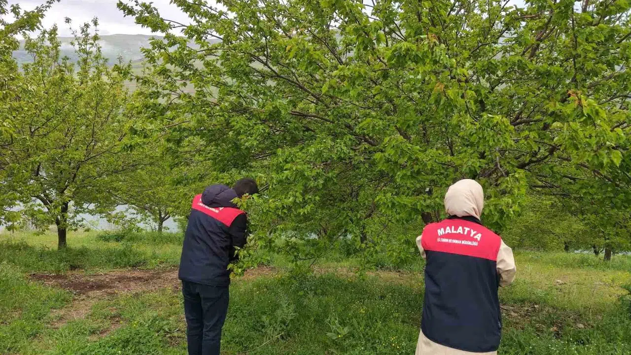 Malatya’da dolu felaketi: Çiftçinin emeği için sahaya indiler