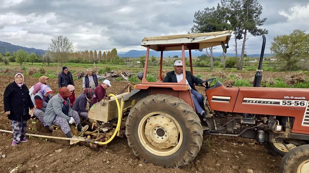 Başkan Pütün tarlaya indi: Beyağaç’ta tütün mesaisi başladı