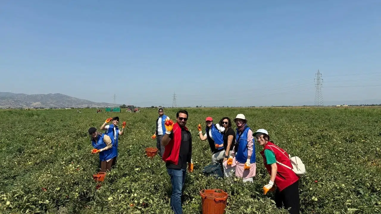 Tarlada ter dökecekler: Gençlerin tarımdaki gücü 2026 hasat takvimiyle sahaya iniyor