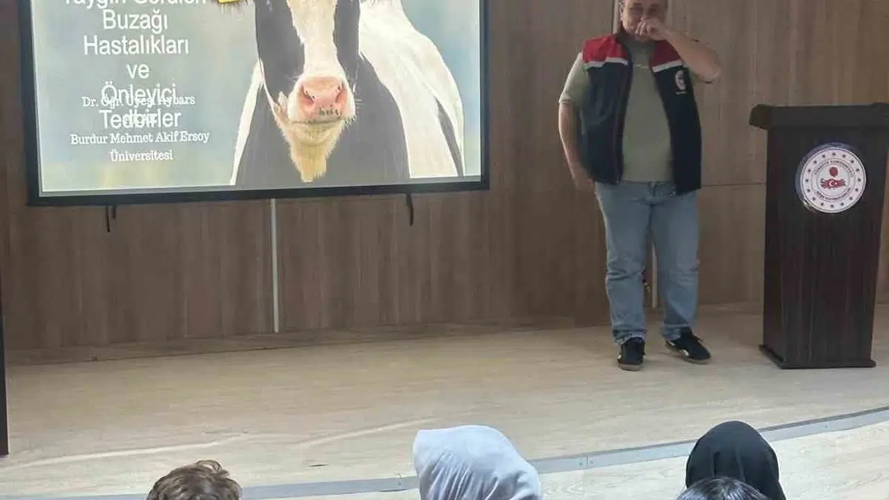 Köşk’te üreticinin yüzünü güldürecek hamle: Buzağı kayıplarına karşı uzman desteği