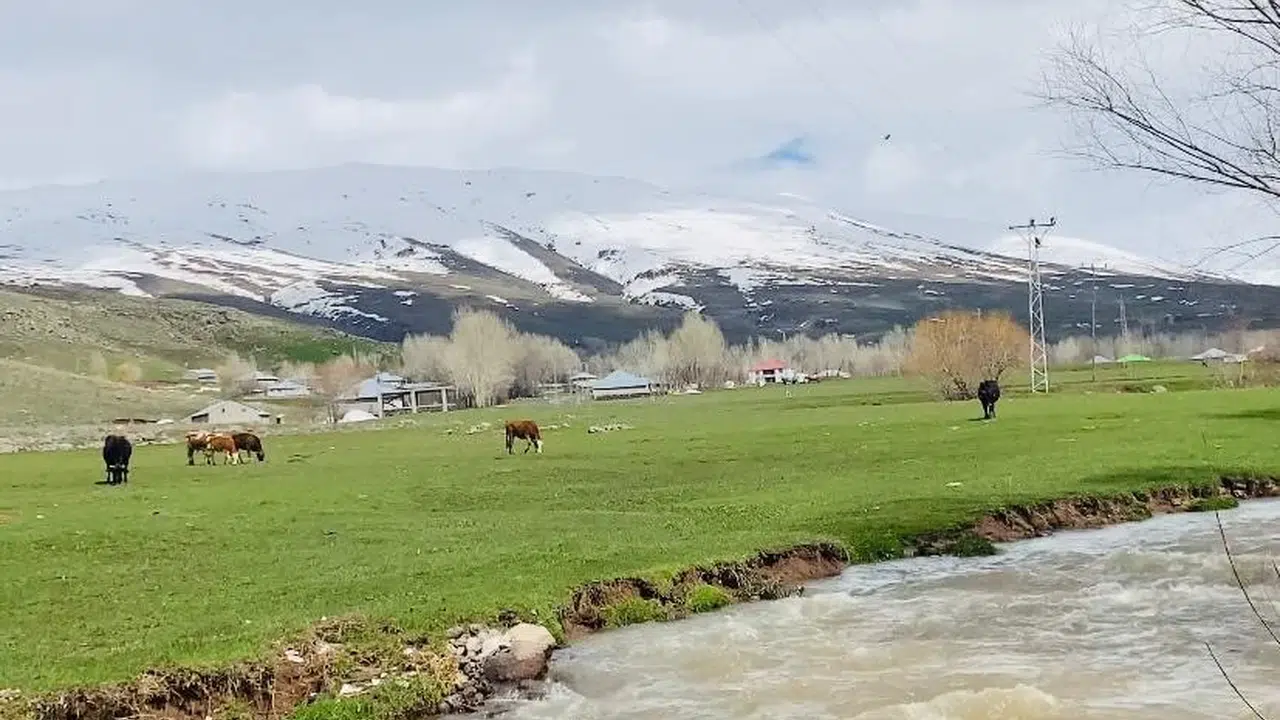 Ağrı’da görenleri şaşırtan manzara: Bir yanda çiçekler açtı, diğer yanda kış hüküm sürüyor