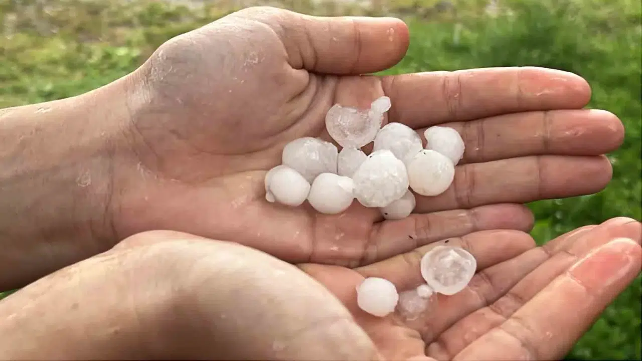 Hatay’da gökyüzü delindi: Piknikçiler erik büyüklüğündeki doludan kaçacak yer aradı
